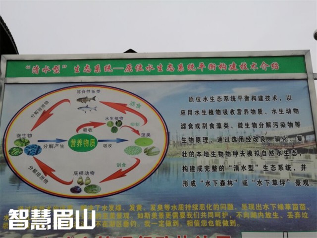 1-16040R120021c.jpg
